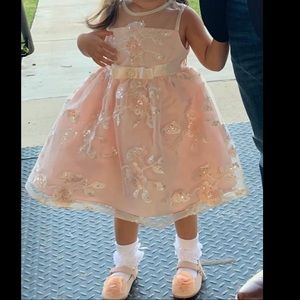 Beautiful Baby Girl Party Dress